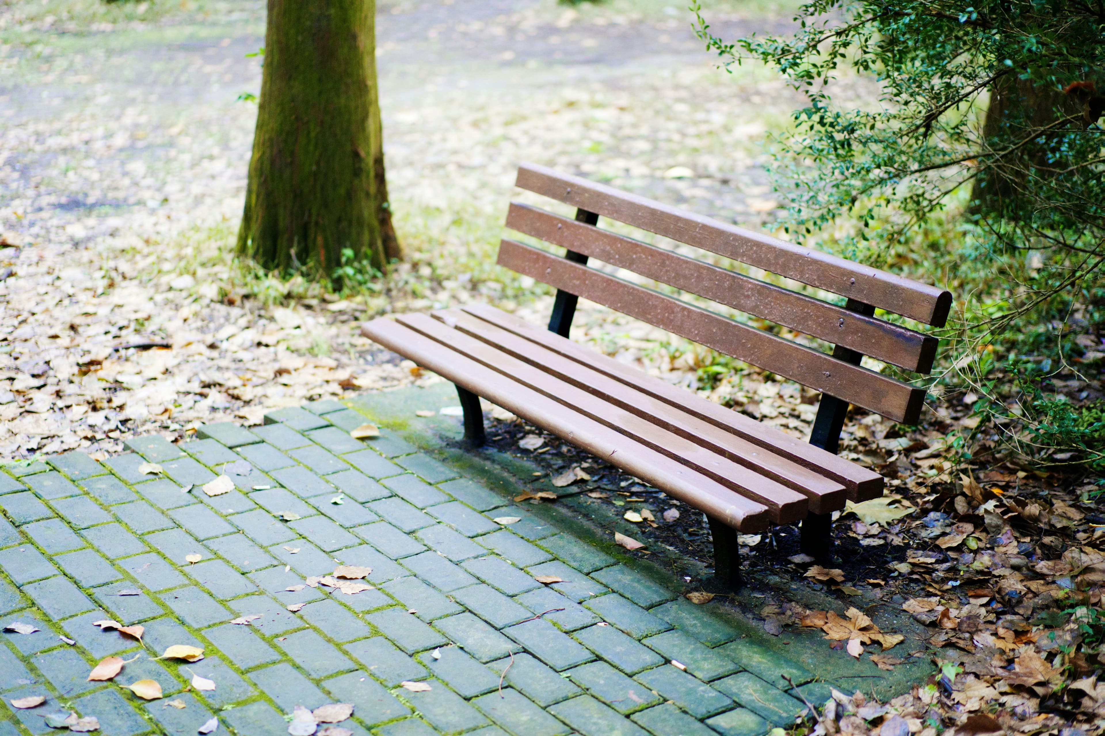Rest areas