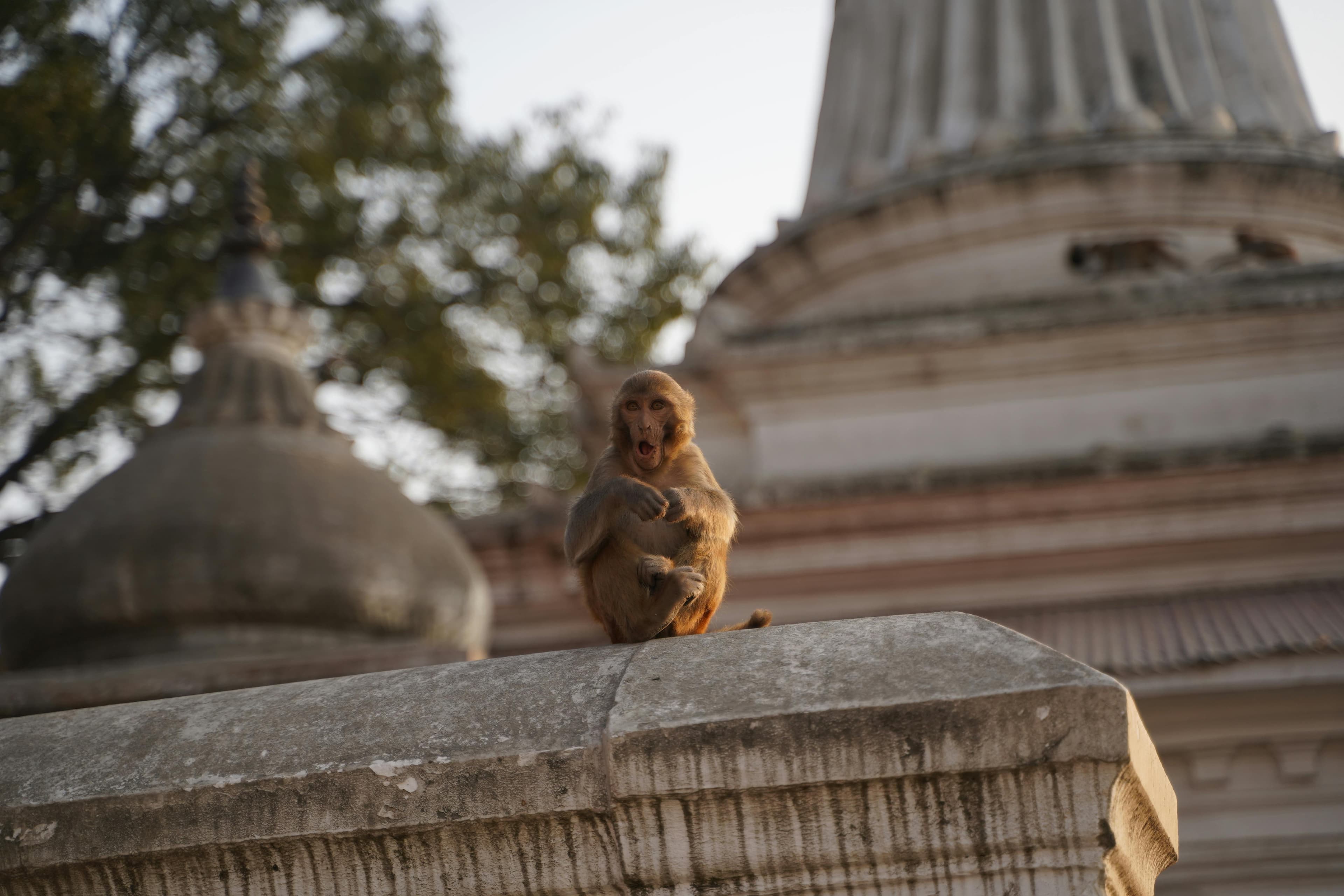 Temple architecture 5
